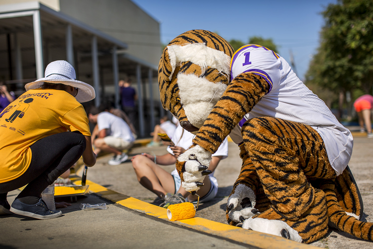 Volunteer LSU
