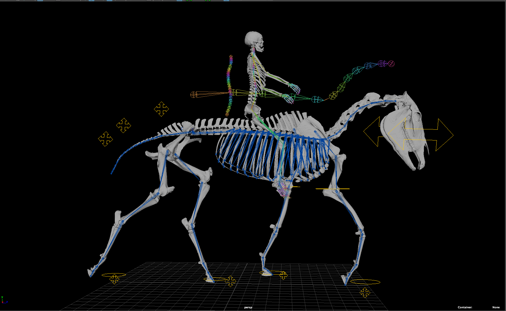 3D skeletal model of horse and rider