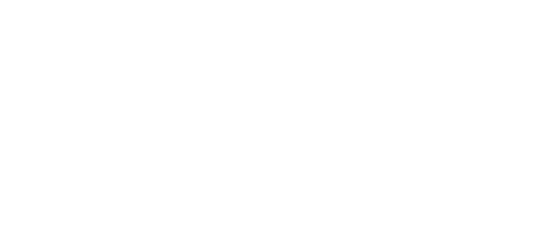 championing social impact through research 