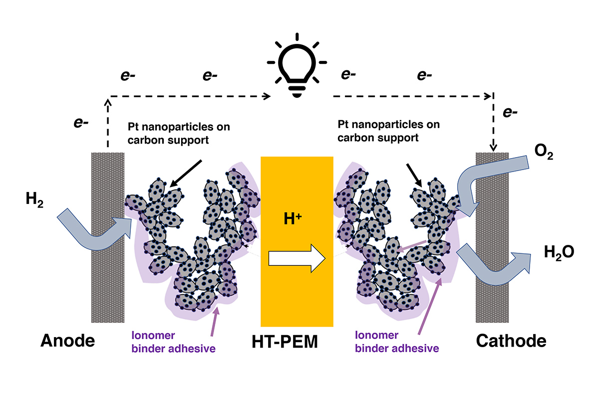 Fuel cells work like batteries