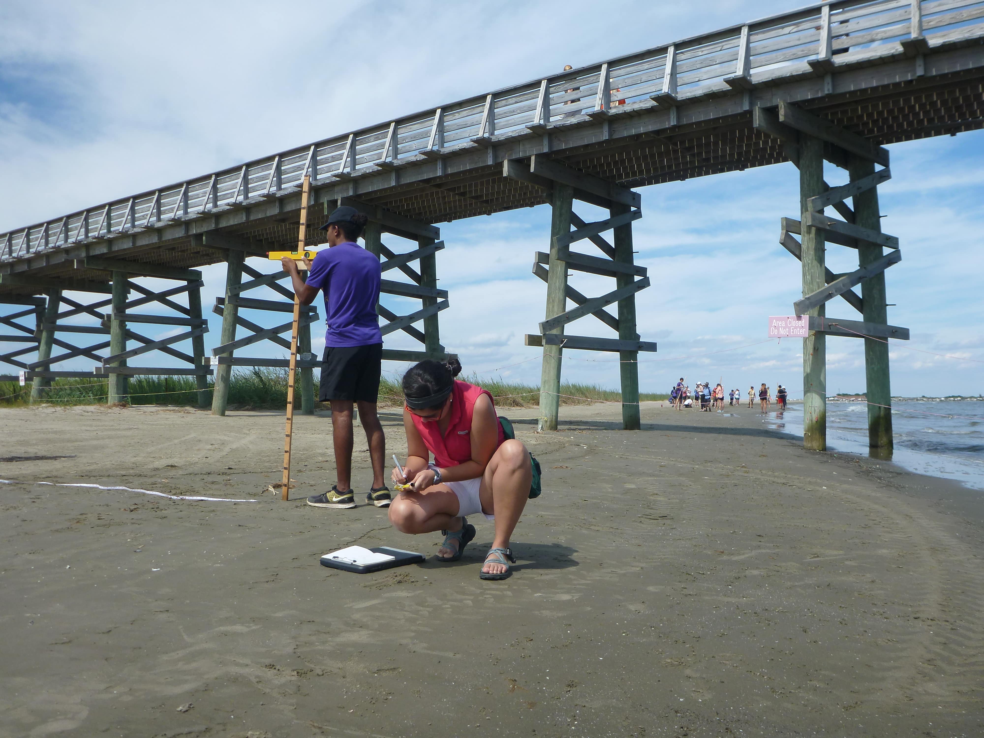students conducting research along a shoreline