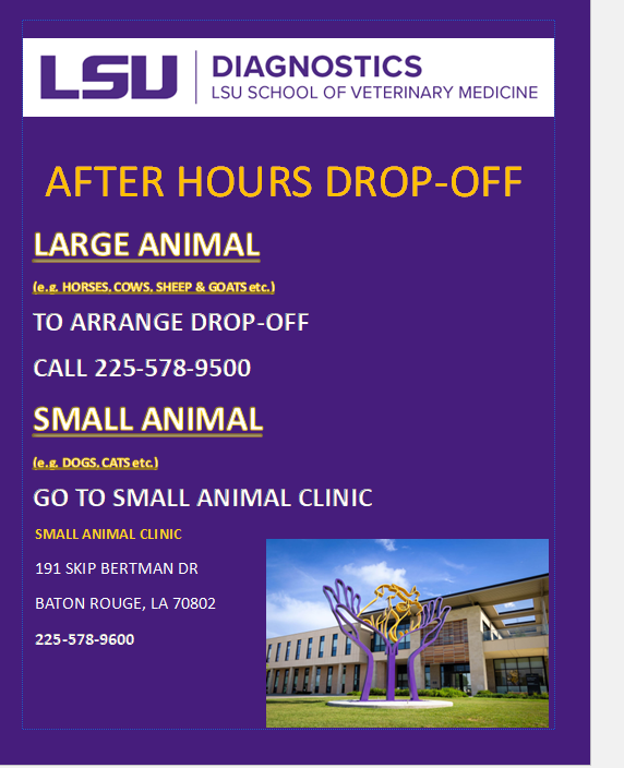 after hours drop-off information
